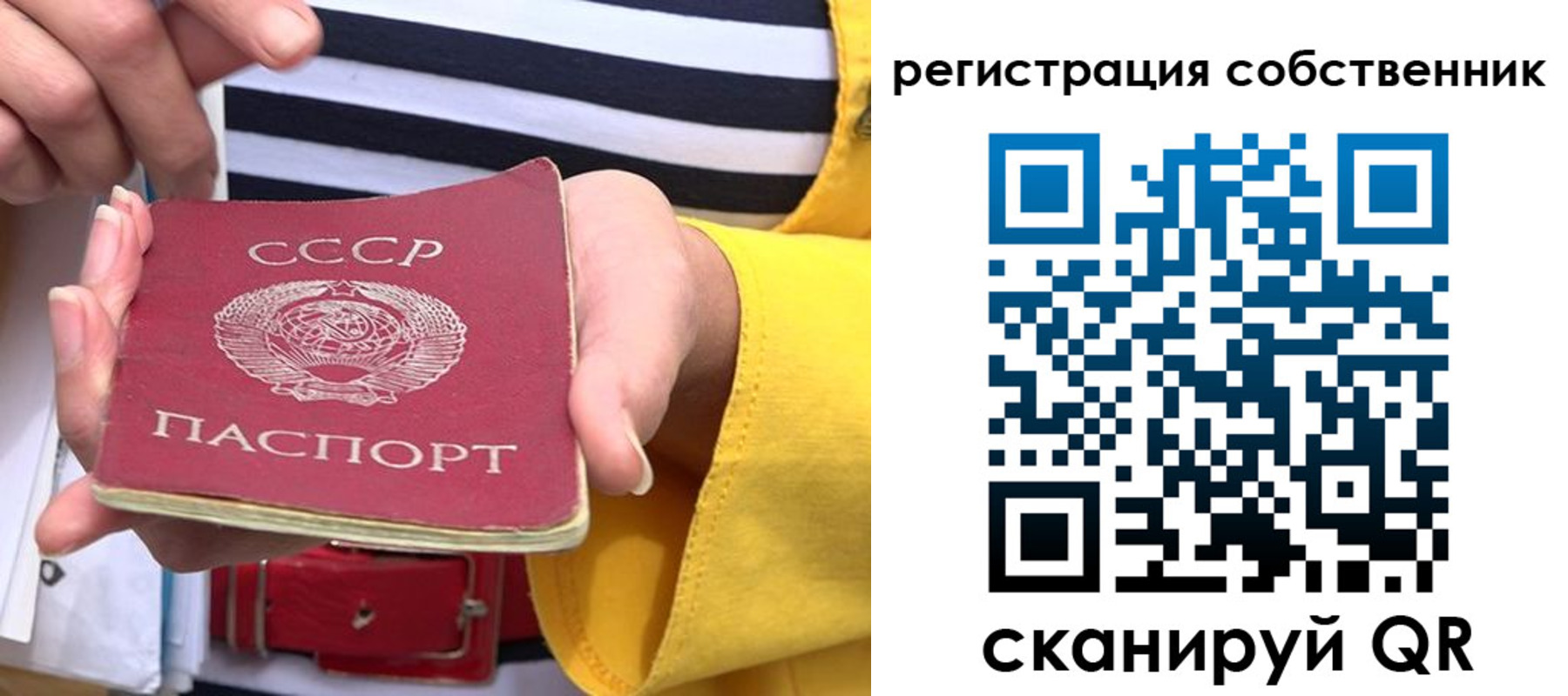 временная прописка в Пионерском
