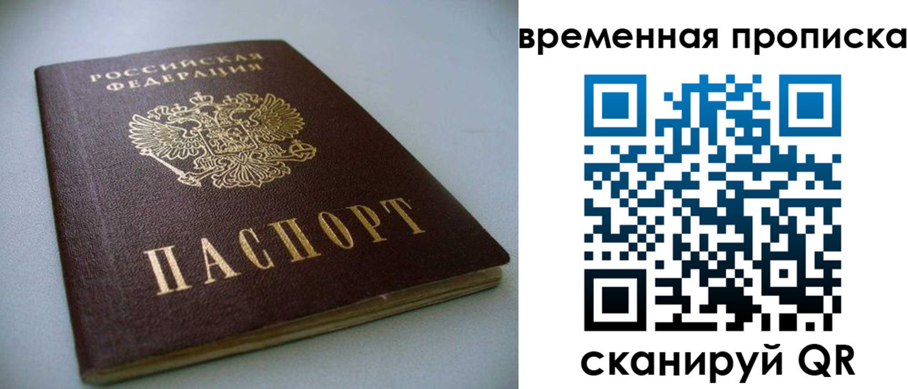 прописка паспорт в Пионерском